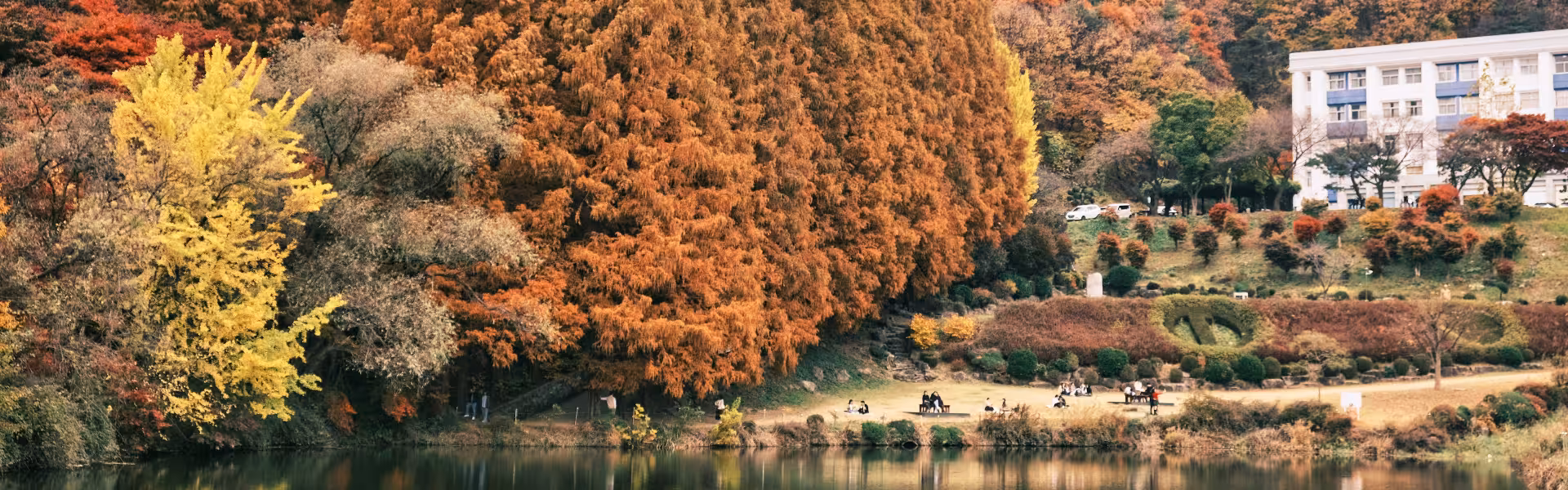Follaje de otoño en Corea del Sur