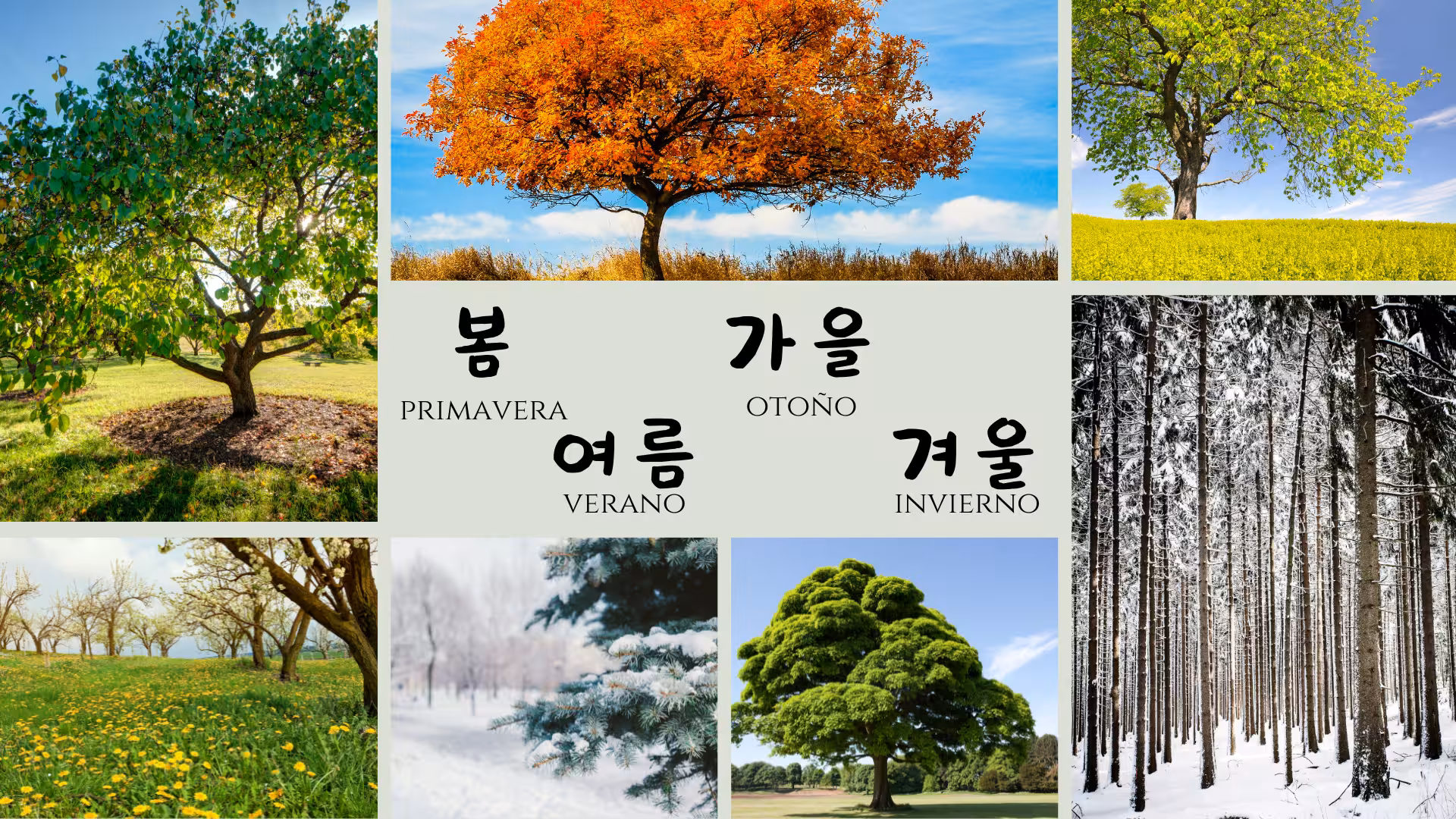Cómo decir los días, meses y estaciones en coreano