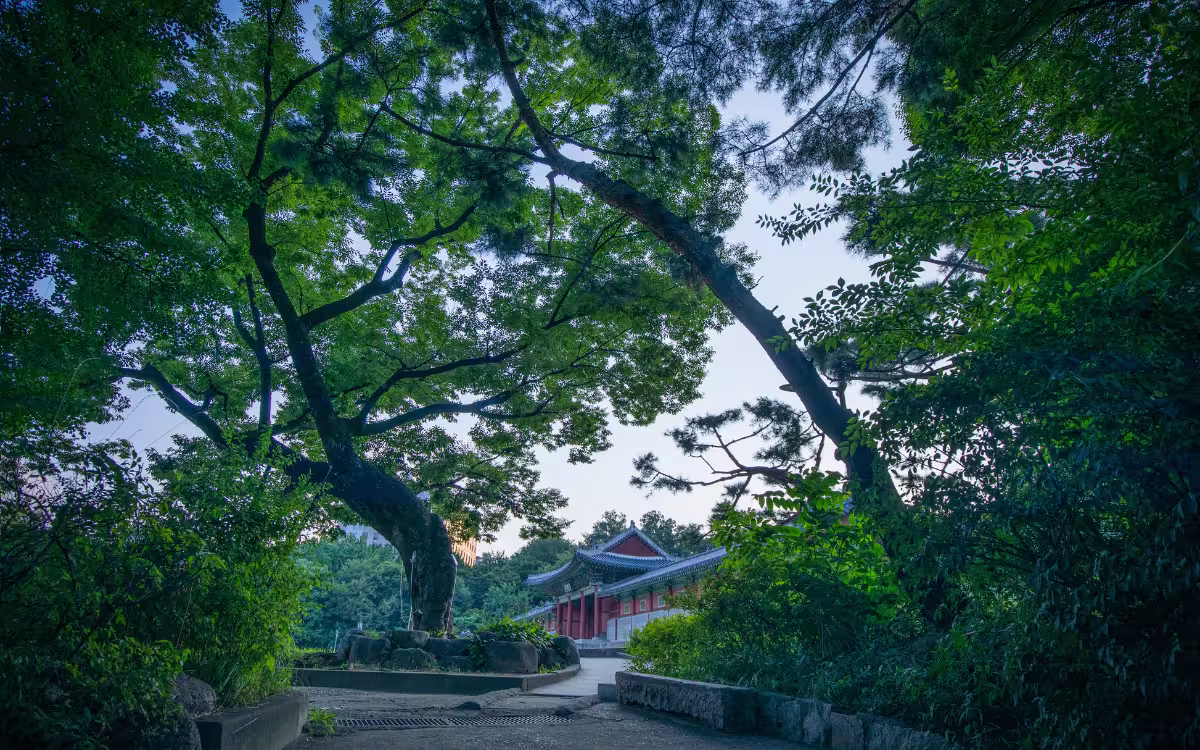 Turista caminando tranquilamente por el Palacio Gyeonghuigung en Seúl